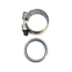 Olive and fastening clips...