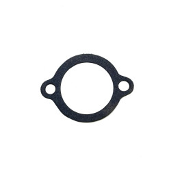 Thermostat Gasket